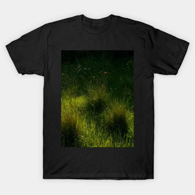 Grass T-Shirt by bunlinked